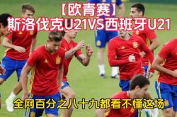 开云体育在线-克罗地亚战胜斯洛伐克,成功晋级淘汰赛