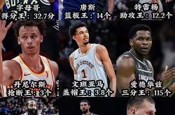 开云足球直播-谁是本赛季MVP?詹皇、字母哥争议不断